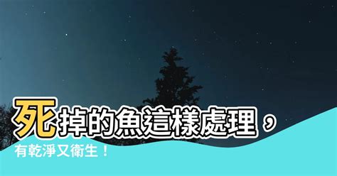 死掉的魚怎麼處理|死了魚怎麼處理遺體，魚死了怎麼辦